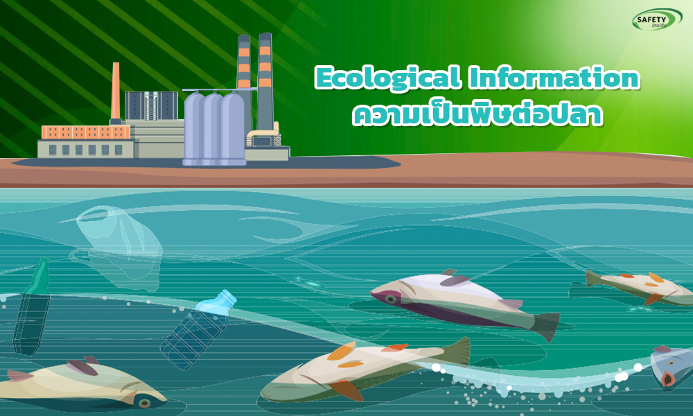 3.Ecological Informationความเป็นพิษต่อปลา